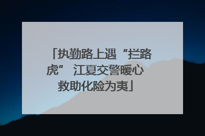 执勤路上遇“拦路虎” 江夏交警暖心救助化险为夷