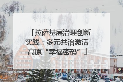 拉萨基层治理创新实践：多元共治激活高原“幸福密码”