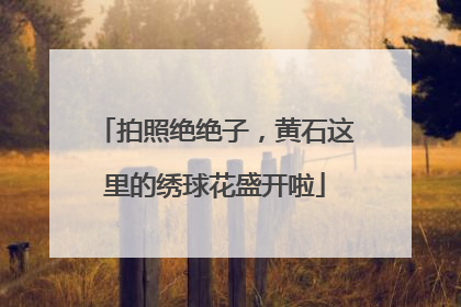 拍照绝绝子，黄石这里的绣球花盛开啦