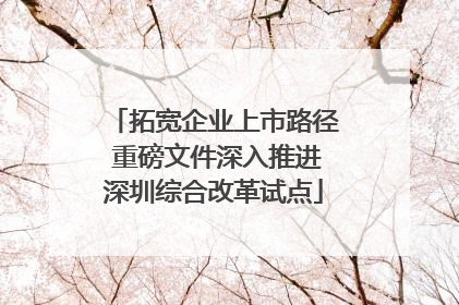 拓宽企业上市路径 重磅文件深入推进深圳综合改革试点