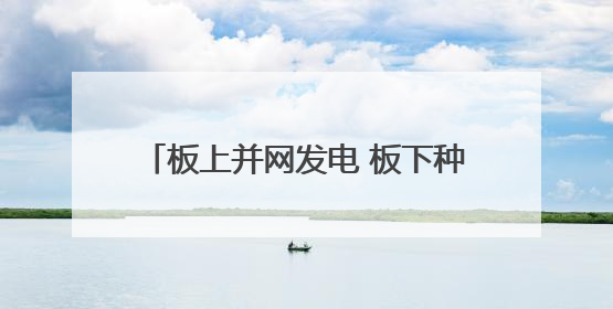 板上并网发电 板下种草固沙 洛浦县光伏产业实现生态经济双收益