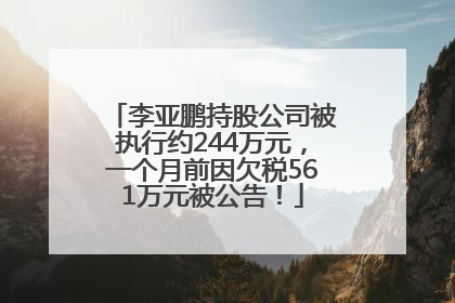 李亚鹏持股公司被执行约244万元，一个月前因欠税561万元被公告！