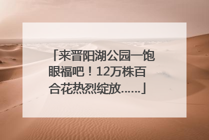 来晋阳湖公园一饱眼福吧！12万株百合花热烈绽放……