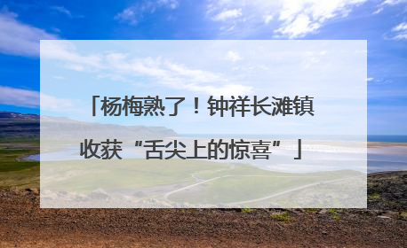 杨梅熟了！钟祥长滩镇收获“舌尖上的惊喜”