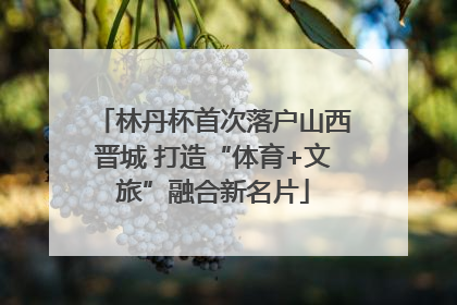 林丹杯首次落户山西晋城 打造“体育+文旅”融合新名片