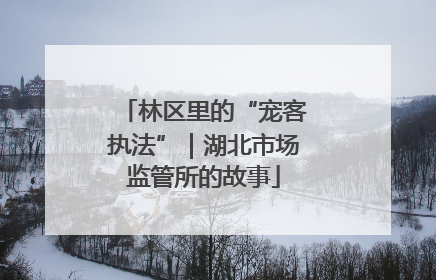 林区里的“宠客执法”｜湖北市场监管所的故事