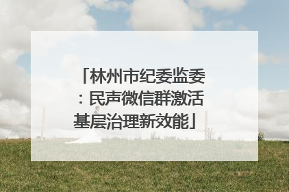 林州市纪委监委：民声微信群激活基层治理新效能