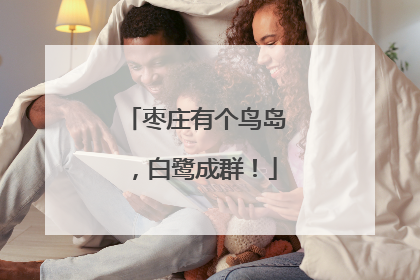 枣庄有个鸟岛，白鹭成群！