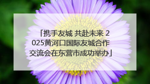 携手友城 共赴未来 2025黄河口国际友城合作交流会在东营市成功举办