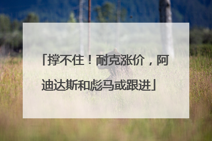 撑不住！耐克涨价，阿迪达斯和彪马或跟进