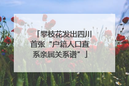 攀枝花发出四川首张“户籍人口直系亲属关系谱”