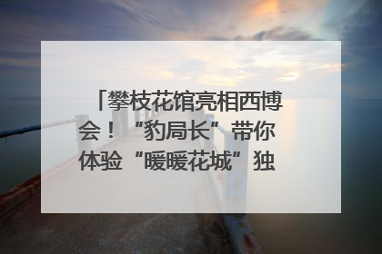 攀枝花馆亮相西博会！“豹局长”带你体验“暖暖花城”独特魅力｜西博视界