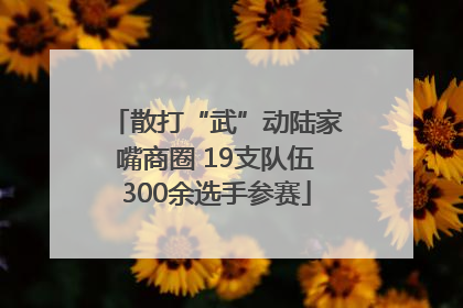 散打“武”动陆家嘴商圈 19支队伍300余选手参赛