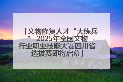 文物修复人才“大练兵” 2025年全国文物行业职业技能大赛四川省选拔赛即将启幕