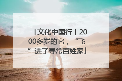 文化中国行丨2000多岁的它，“飞”进了寻常百姓家