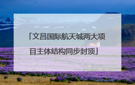 文昌国际航天城两大项目主体结构同步封顶