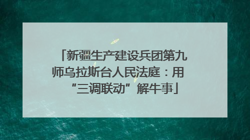新疆生产建设兵团第九师乌拉斯台人民法庭：用“三调联动”解牛事