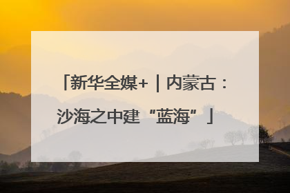 新华全媒+｜内蒙古：沙海之中建“蓝海”