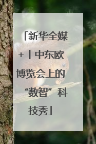 新华全媒+丨中东欧博览会上的“数智”科技秀
