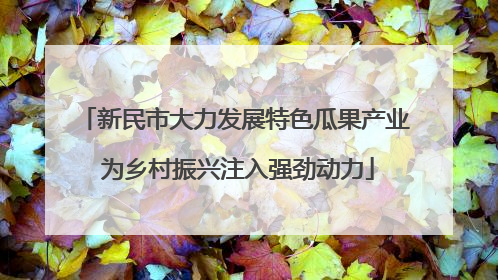 新民市大力发展特色瓜果产业 为乡村振兴注入强劲动力
