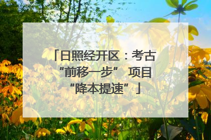 日照经开区：考古“前移一步” 项目“降本提速”
