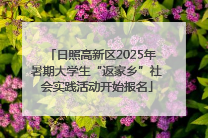 日照高新区2025年暑期大学生“返家乡”社会实践活动开始报名