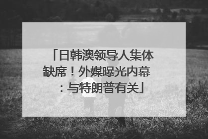 日韩澳领导人集体缺席！外媒曝光内幕：与特朗普有关