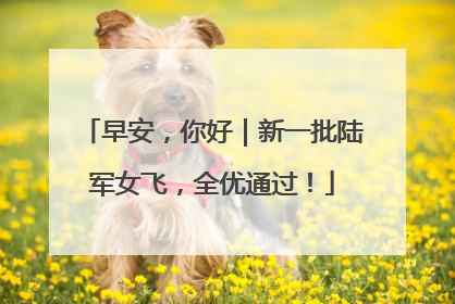 早安，你好｜新一批陆军女飞，全优通过！