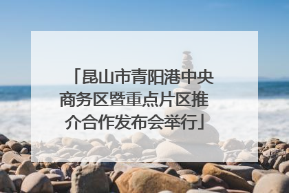昆山市青阳港中央商务区暨重点片区推介合作发布会举行