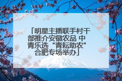 明星主播联手村干部推介安徽农品 中青乐选“青耘助农”合肥专场举办