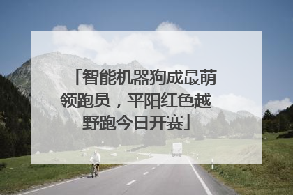 智能机器狗成最萌领跑员，平阳红色越野跑今日开赛