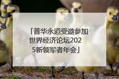 普华永道受邀参加世界经济论坛2025新领军者年会