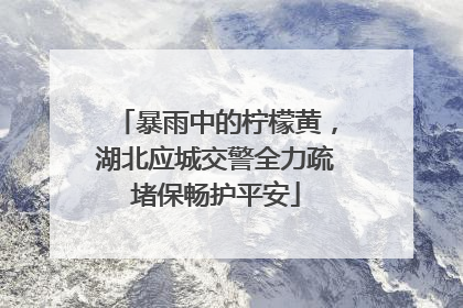 暴雨中的柠檬黄，湖北应城交警全力疏堵保畅护平安