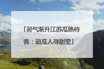 暑气渐升江苏瓜熟待客：追瓜人寻甜蜜
