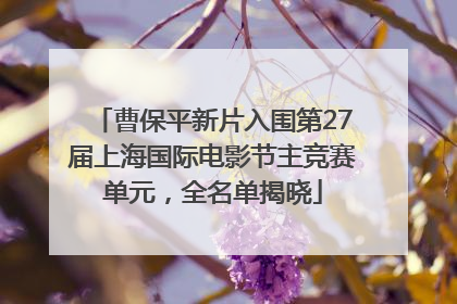 曹保平新片入围第27届上海国际电影节主竞赛单元，全名单揭晓