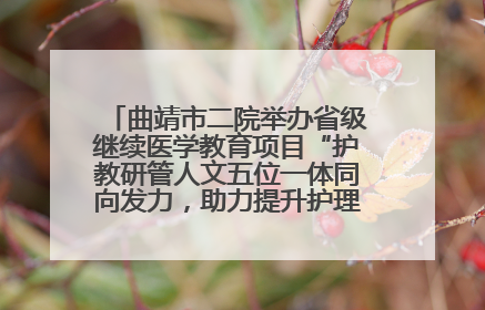 曲靖市二院举办省级继续医学教育项目“护教研管人文五位一体同向发力，助力提升护理效能学习班”