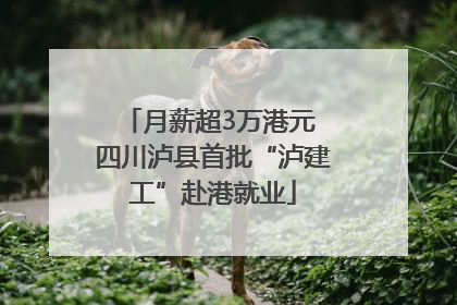 月薪超3万港元 四川泸县首批“泸建工”赴港就业