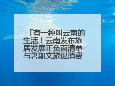 有一种叫云南的生活！云南发布旅居发展正负面清单与暑期文旅促消费“组合拳”