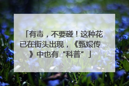有毒，不要碰！这种花已在街头出现，《甄嬛传》中也有“科普”
