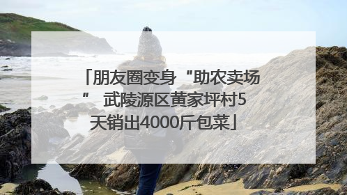 朋友圈变身“助农卖场” 武陵源区黄家坪村5天销出4000斤包菜
