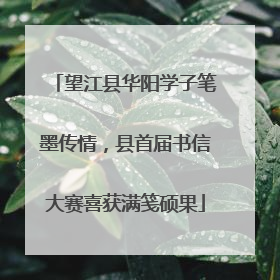 望江县华阳学子笔墨传情，县首届书信大赛喜获满笺硕果
