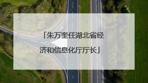 朱万奎任湖北省经济和信息化厅厅长