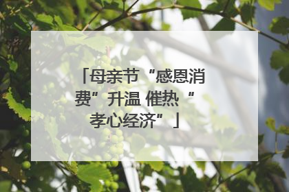 母亲节“感恩消费”升温 催热“孝心经济”