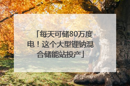 每天可储80万度电！这个大型锂钠混合储能站投产