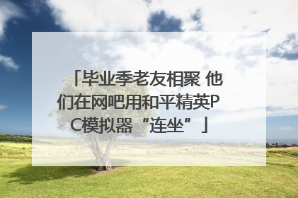 毕业季老友相聚 他们在网吧用和平精英PC模拟器“连坐”