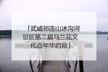 武威祁连山冰沟河景区第二届马兰花文化嘉年华启幕