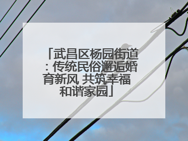 武昌区杨园街道：传统民俗邂逅婚育新风 共筑幸福和谐家园