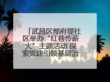 武昌区都府堤社区举办“红巷传薪火”主题活动 探索党建引领基层治理新路径