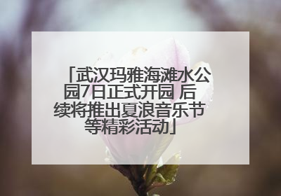 武汉玛雅海滩水公园7日正式开园 后续将推出夏浪音乐节等精彩活动