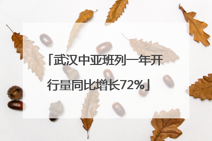 武汉中亚班列一年开行量同比增长72%
